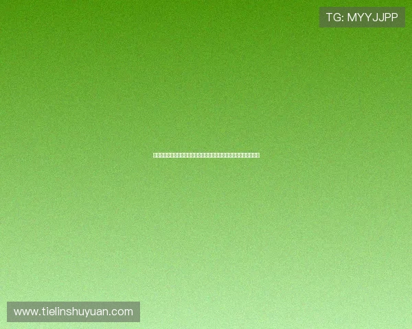 畅享科技引领数字创新发展开启智慧产业新未来融合升级赋能城市生活