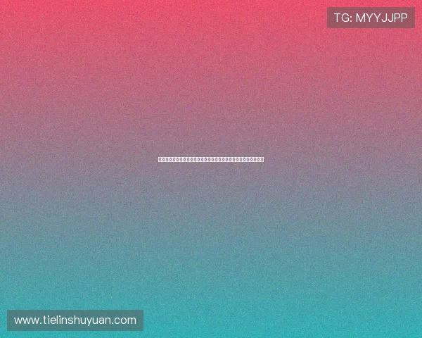 聚焦山东体育频道全天节目表权威解读赛事看点与播出安排指南速览